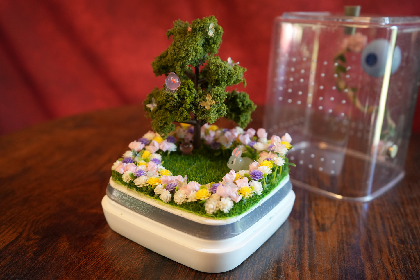 Jumping spider enclosure