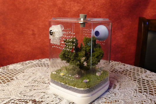Jumping Spider Terrarium