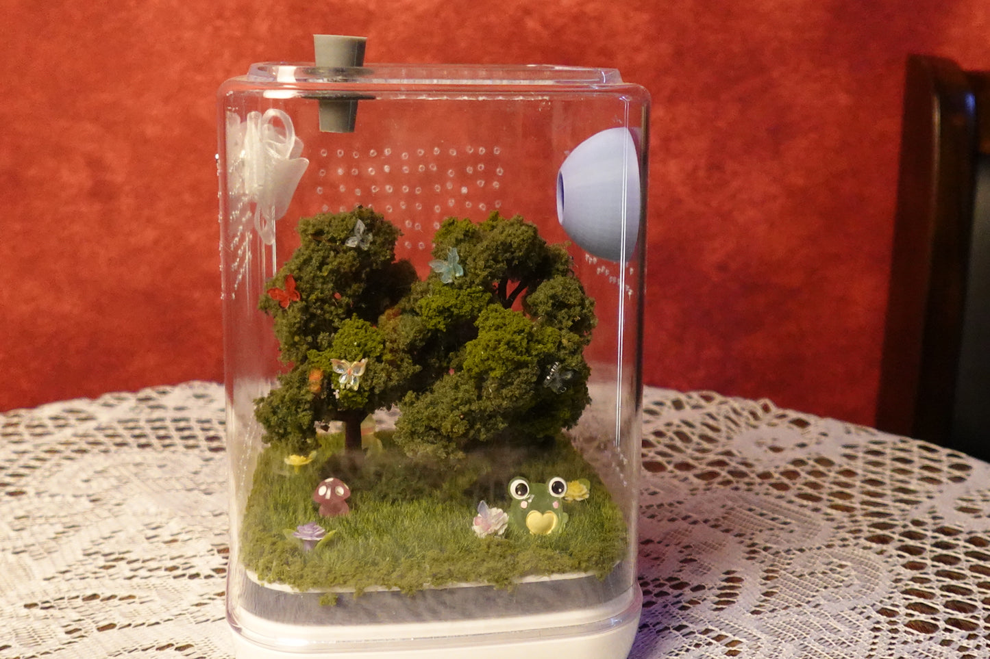 Jumping Spider Terrarium