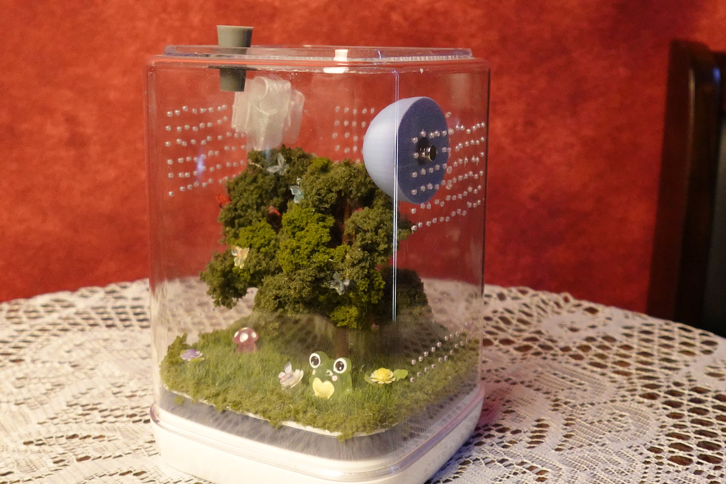 Jumping Spider Terrarium