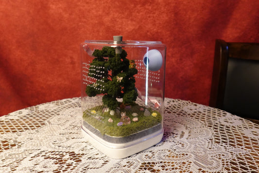 Jumping Spider Terrarium