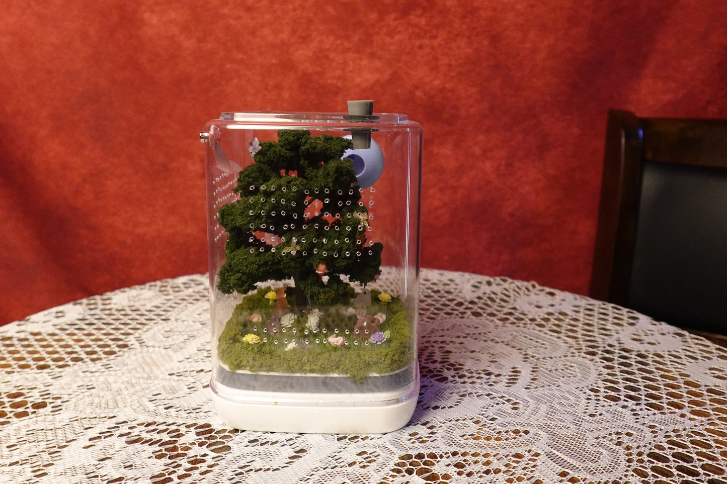 Jumping Spider Terrarium