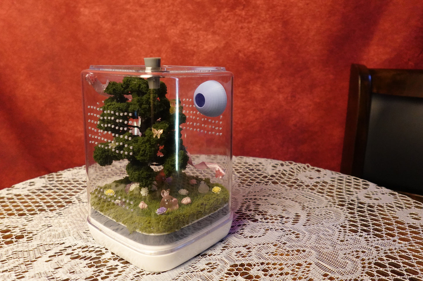 Jumping Spider Terrarium