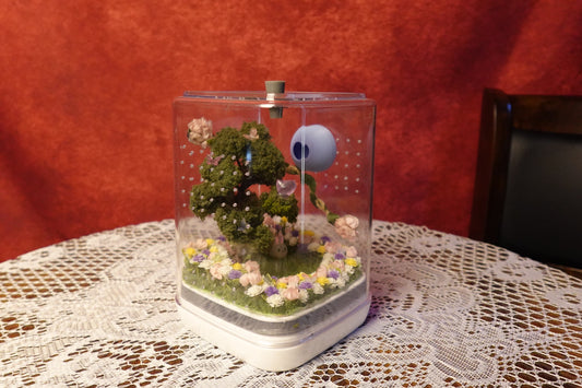 Jumping spider enclosure