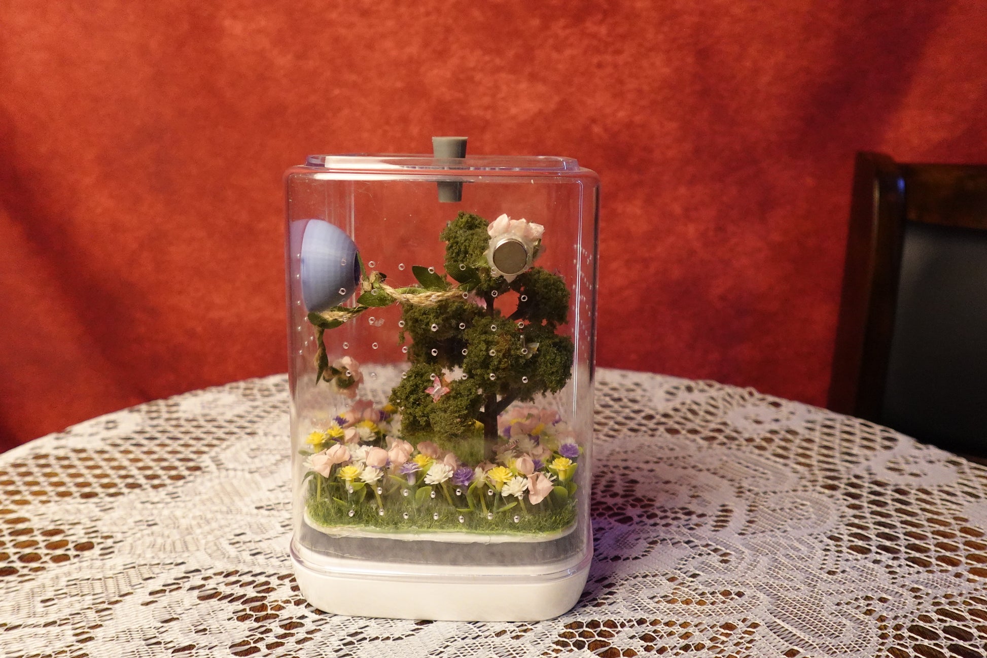 Jumping spider enclosure