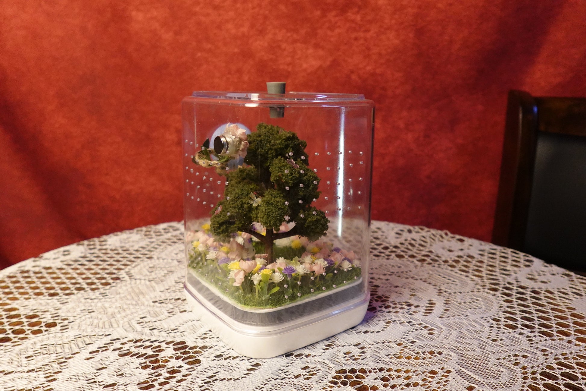 Jumping spider enclosure