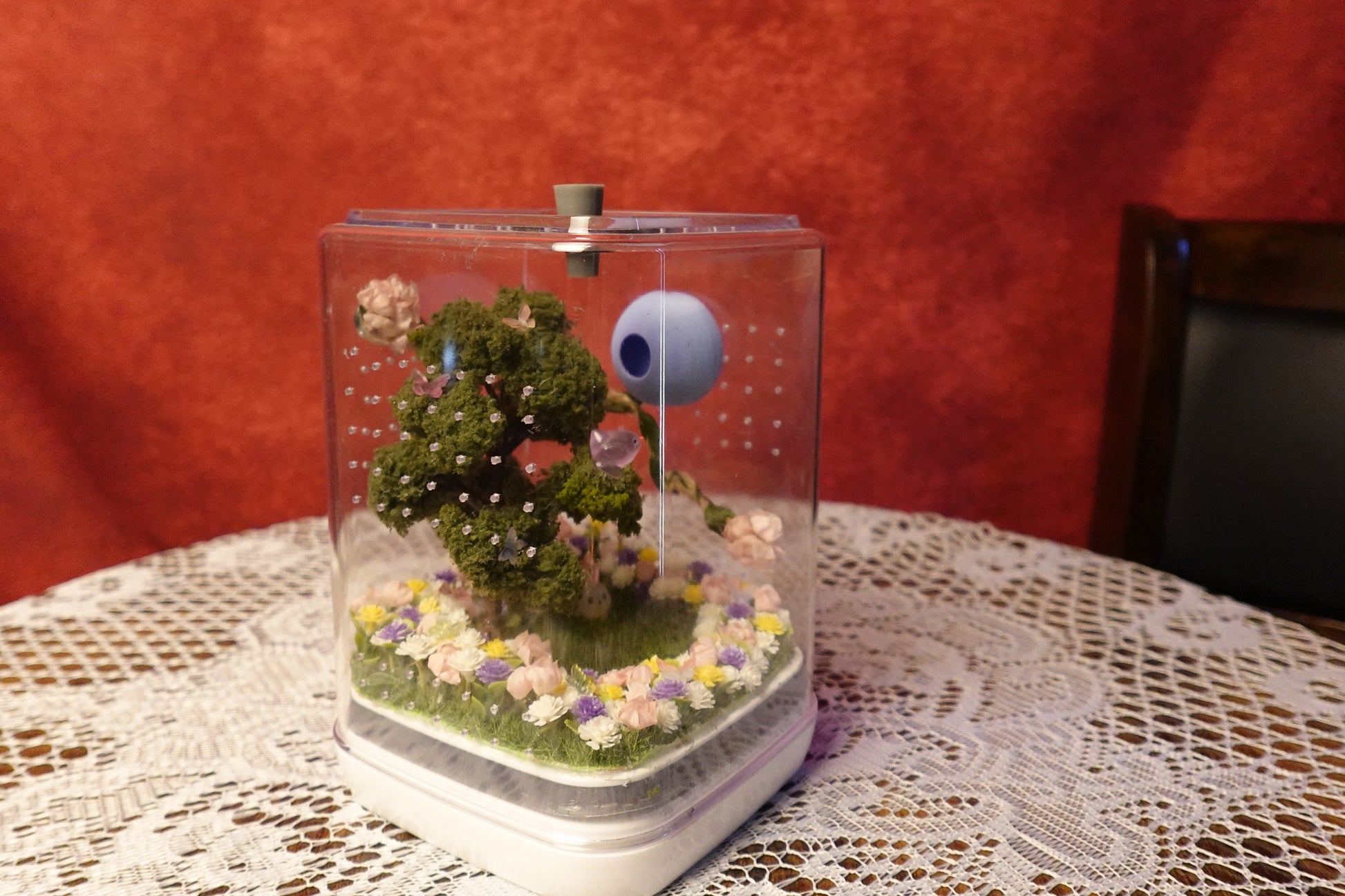 Jumping spider enclosure