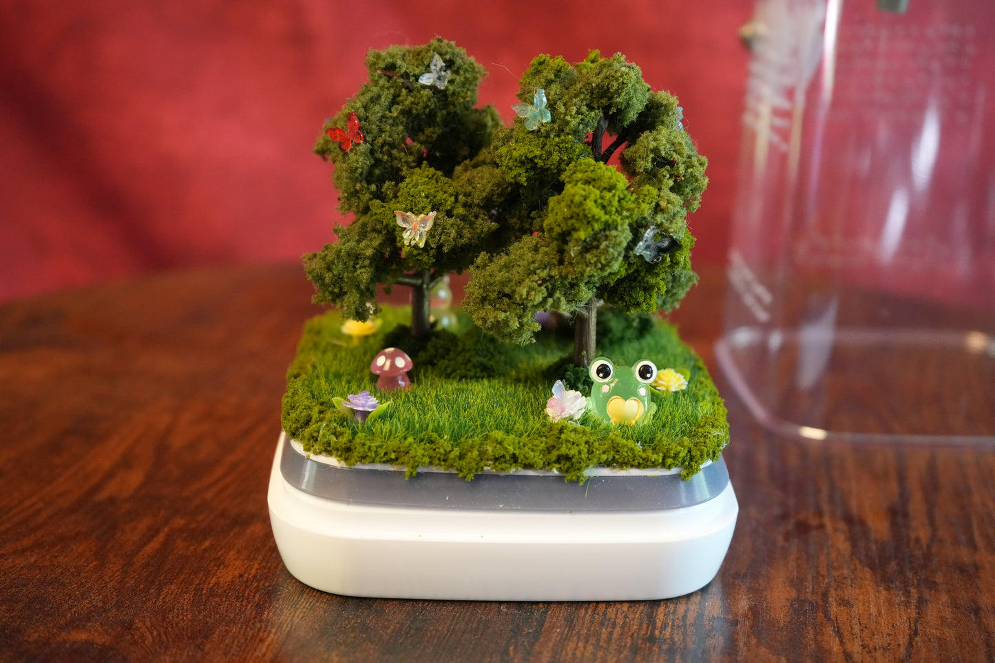 Jumping Spider Terrarium