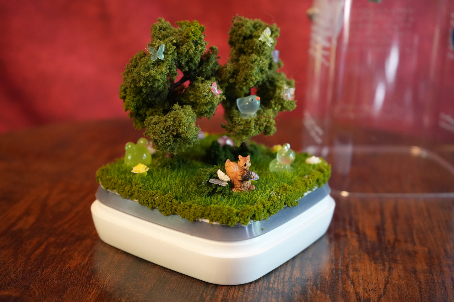 Jumping Spider Terrarium