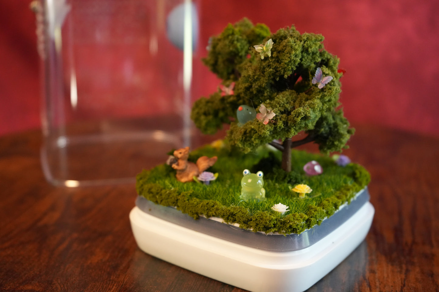 Jumping Spider Terrarium