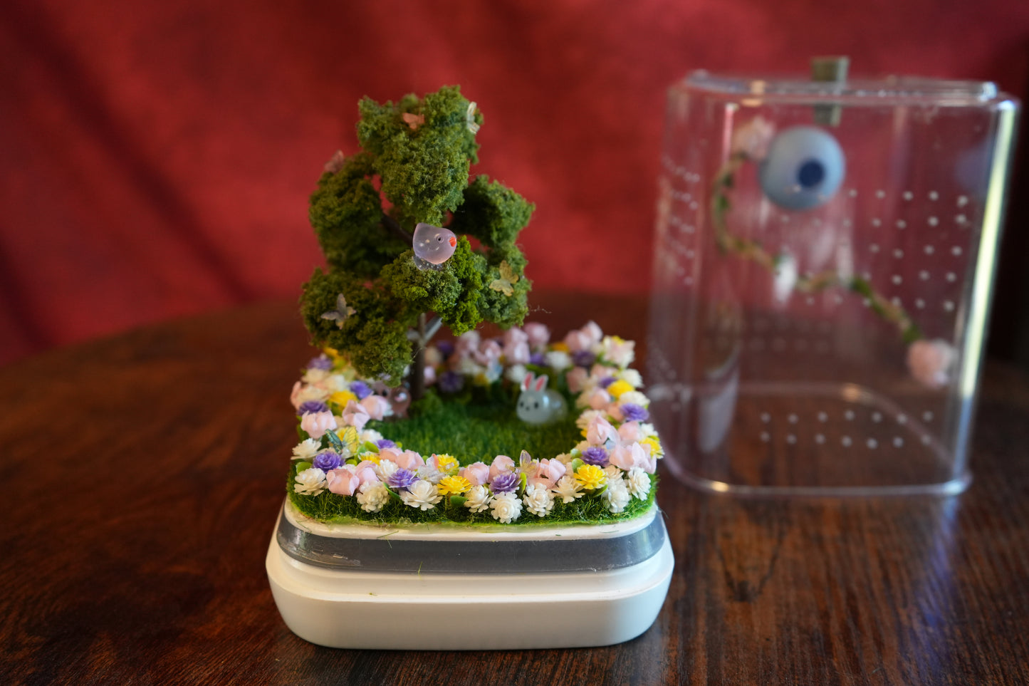 Jumping spider enclosure