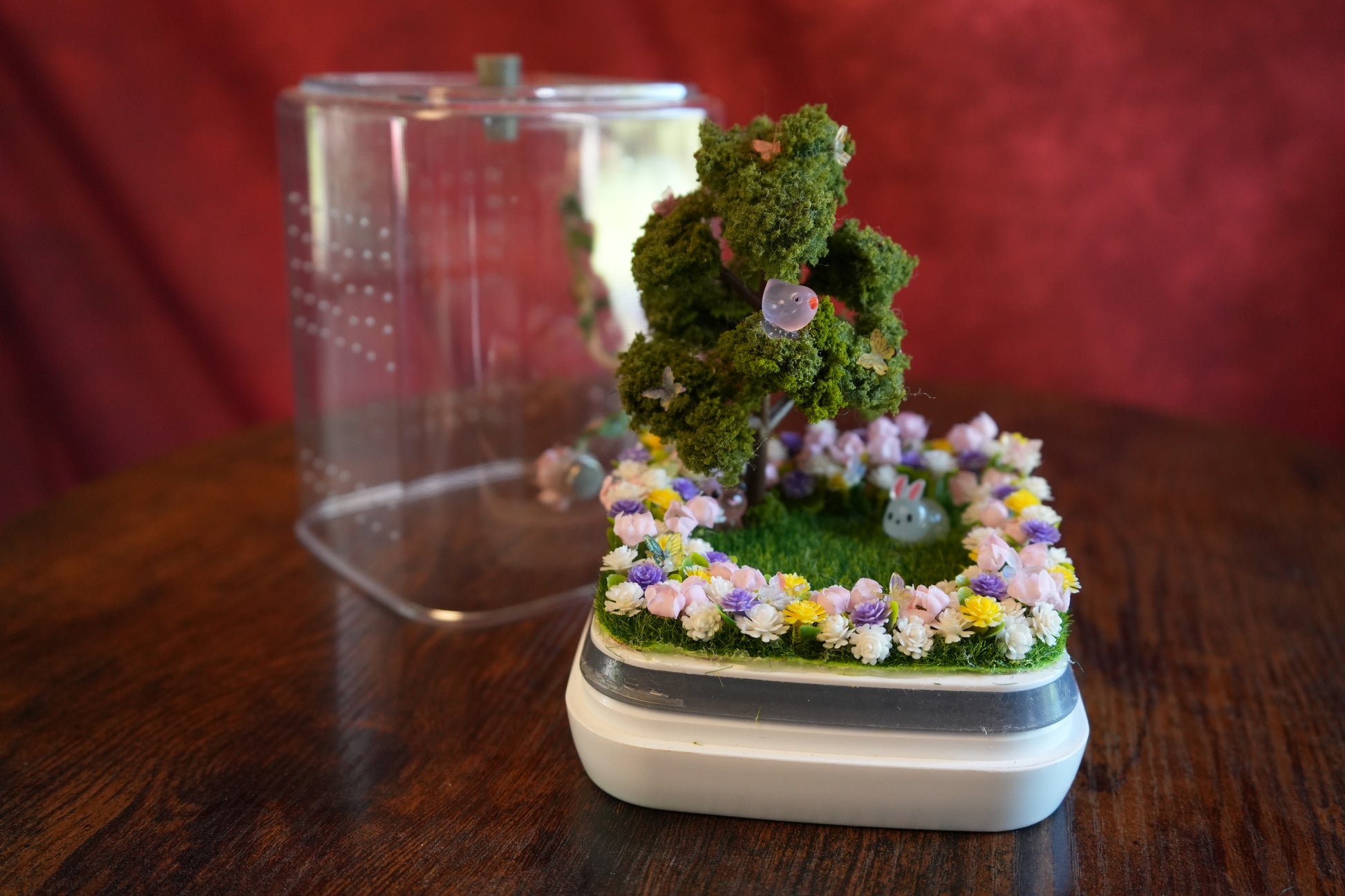 Jumping spider enclosure