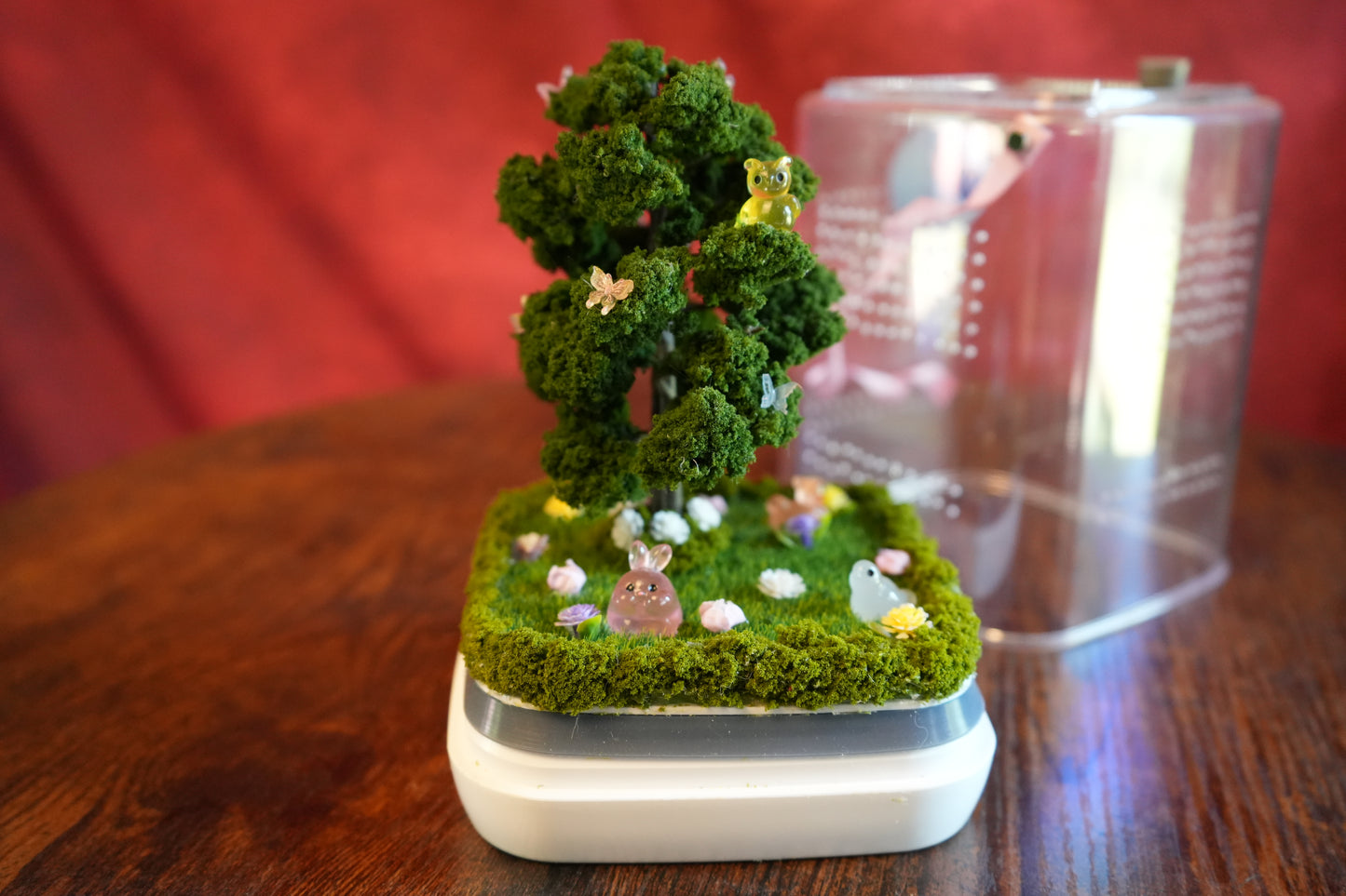 Jumping Spider Terrarium