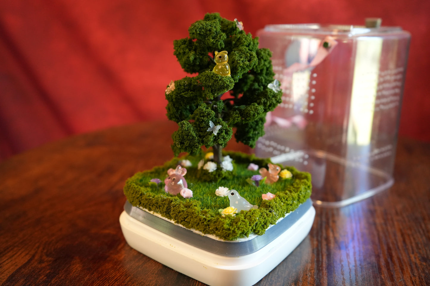 Jumping Spider Terrarium