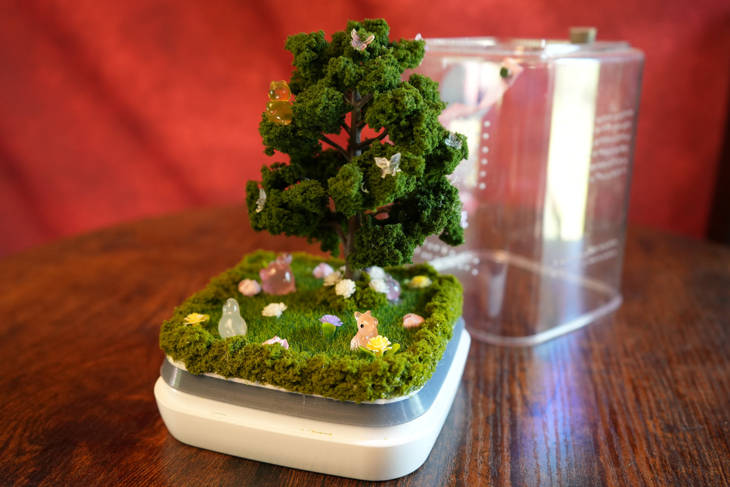 Jumping Spider Terrarium