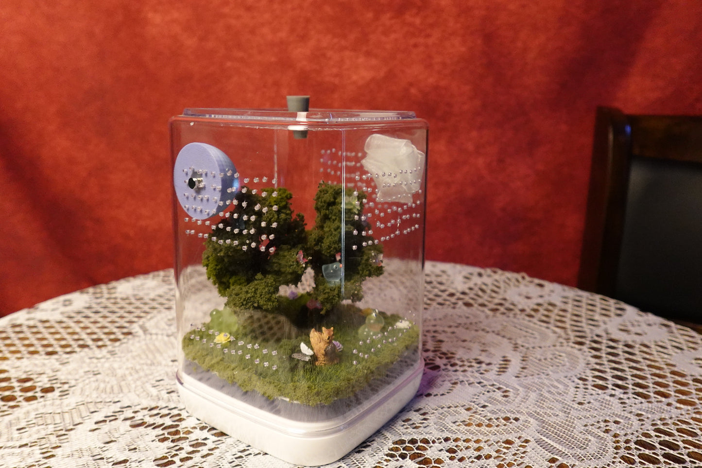 Jumping Spider Terrarium