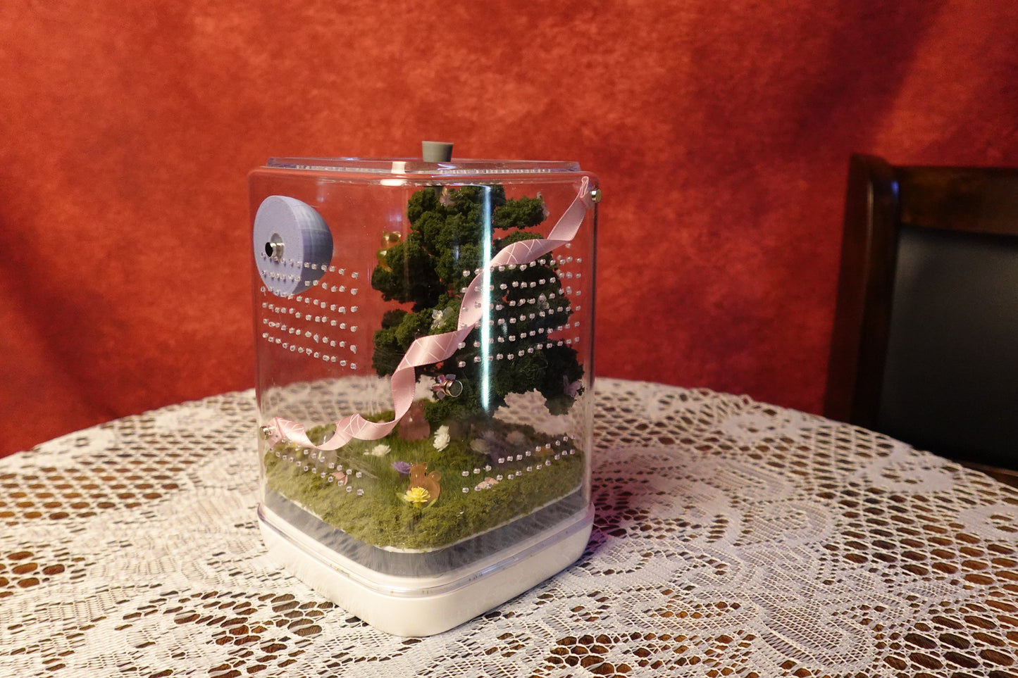 Jumping Spider Terrarium